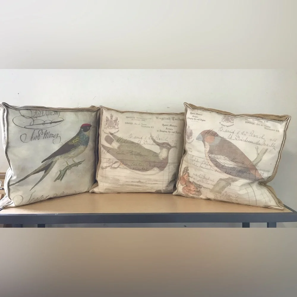 NWOT French Naturalist Bird Box Pillow